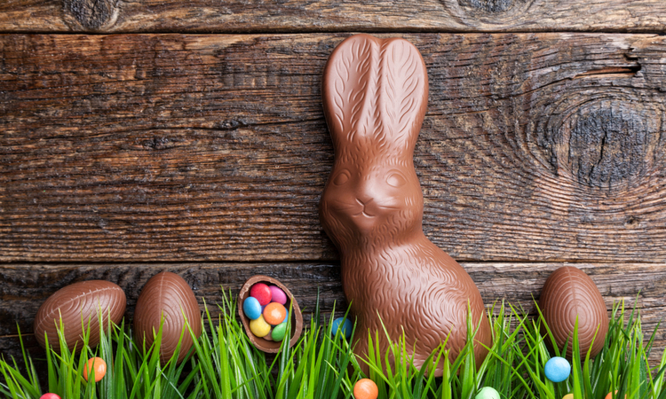 Easter chocolate bunny