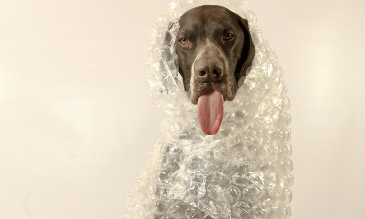 History of the Bubble Wrap