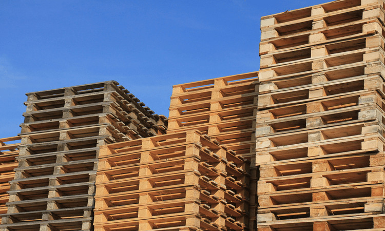 When a Pallet Becomes an Extreme Sport | Ernest Packaging