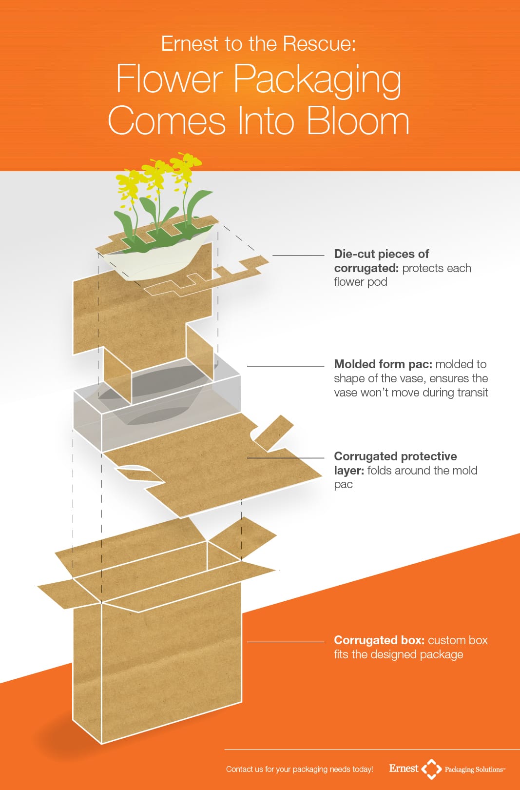 flower packaging Ernest concept