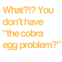 Cobra Egg Problem