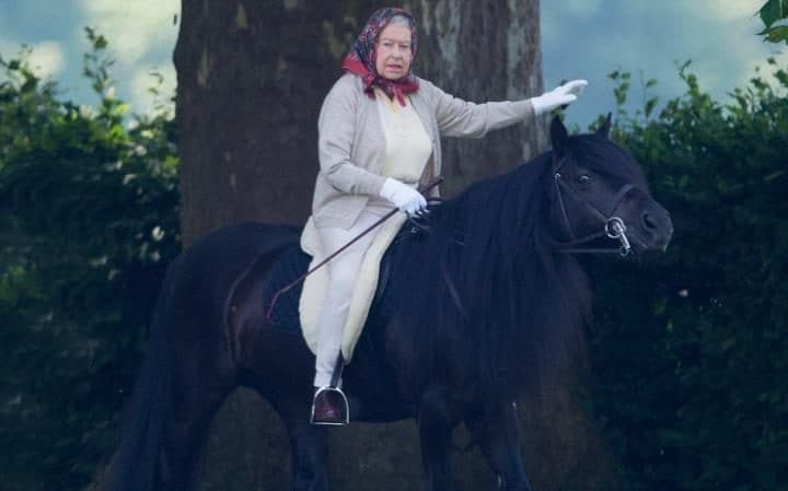 the Queen on a horse