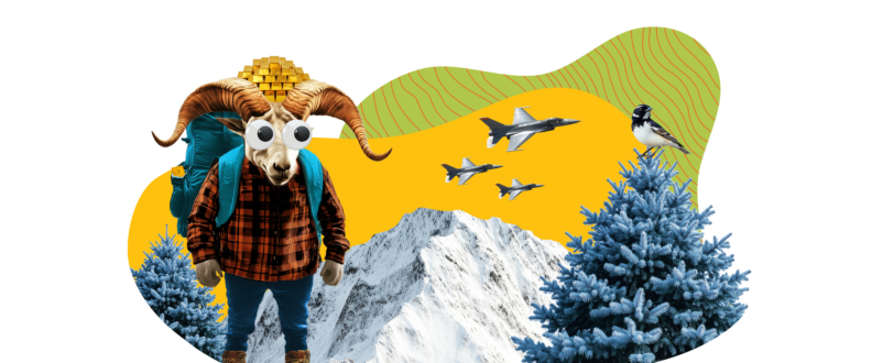 CO-Collage