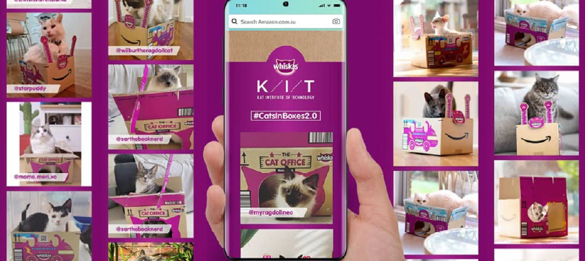 A cat and kitten interacting with custom Amazon branded boxes for Whiskas.