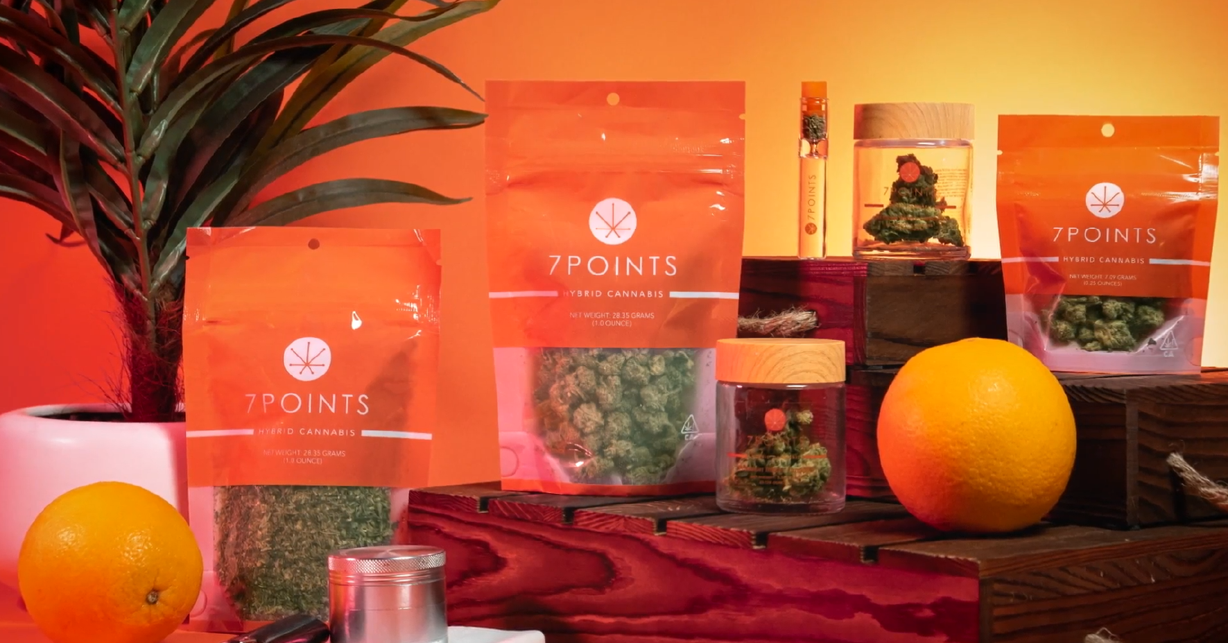 7Points hybrid cannabis products in orange transparent packaging displayed with oranges and plants.