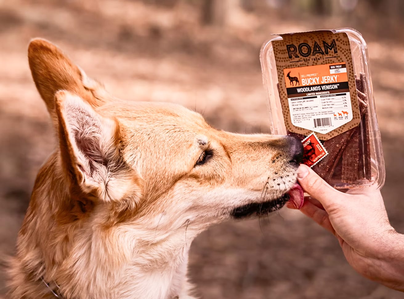 Golden retriever sniffing a package of Roam Pet Treats Bucky Jerky woodlands venison dog treats outdoors.