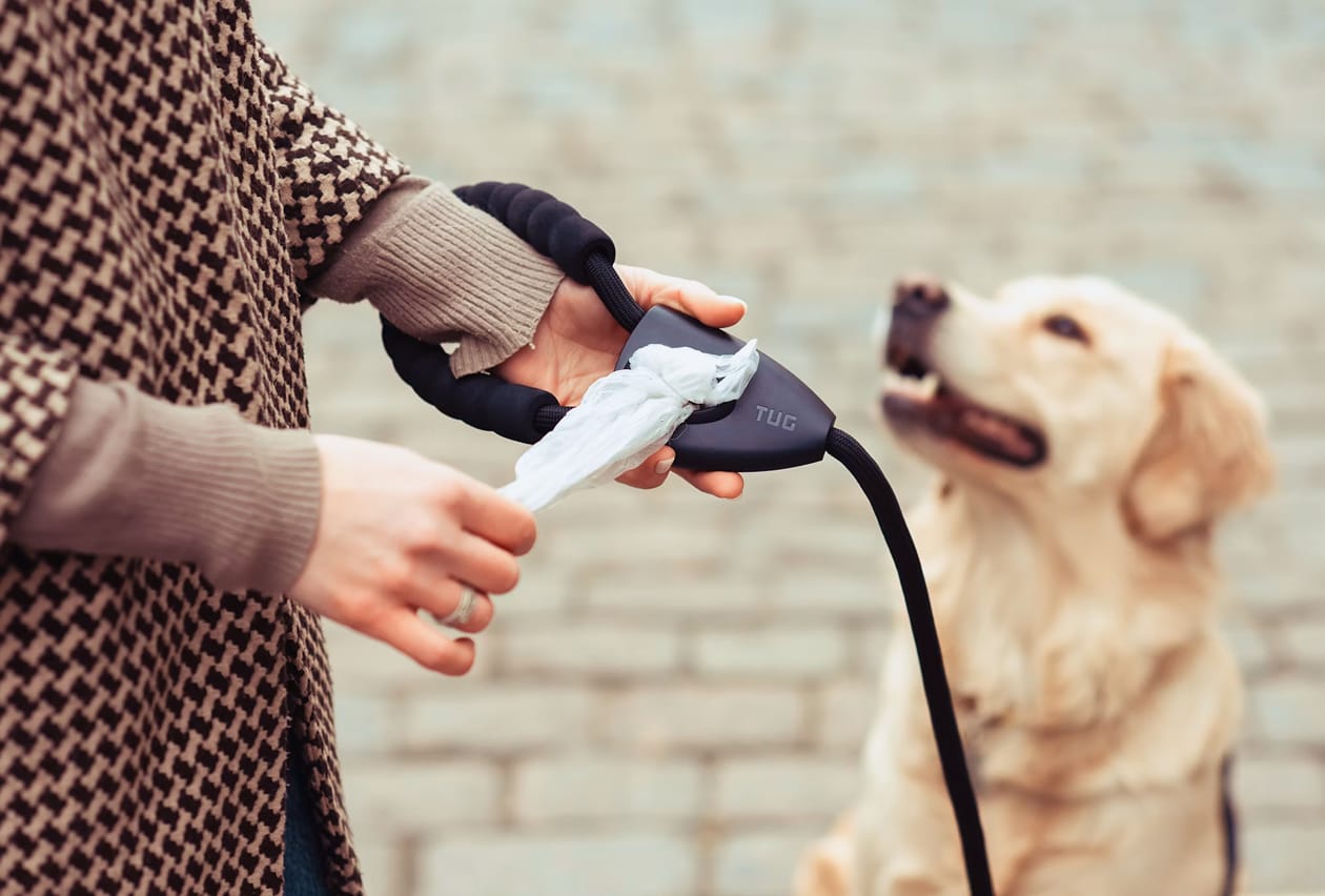 Dog owner pulling a waste bag from a TUG leash dispenser while a golden retriever looks on.